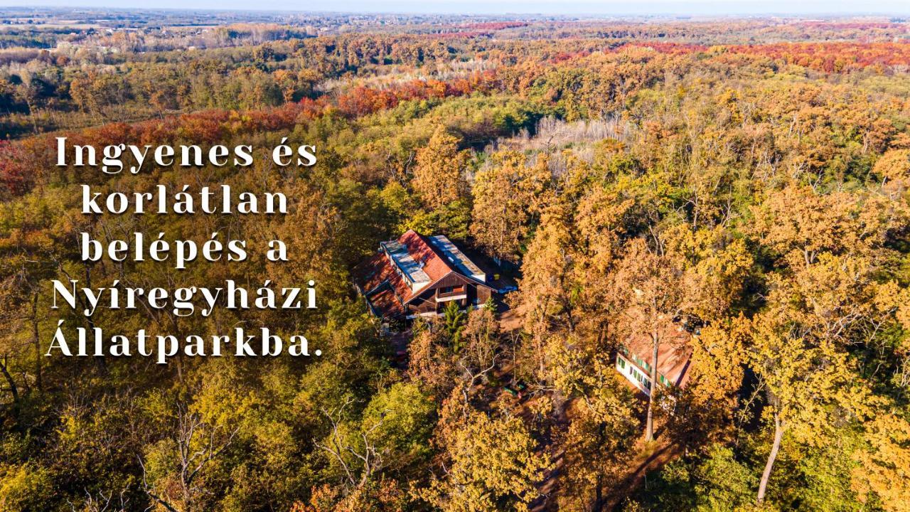 Ozoon Hotel Nyíregyháza Eksteriør billede